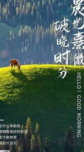足球002比分-探秘足球002比分，赛场风云中的数字密码