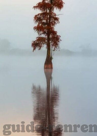 足球比分网app下载-解锁足球观赛新体验，足球比分网APP下载全攻略与深度解析
